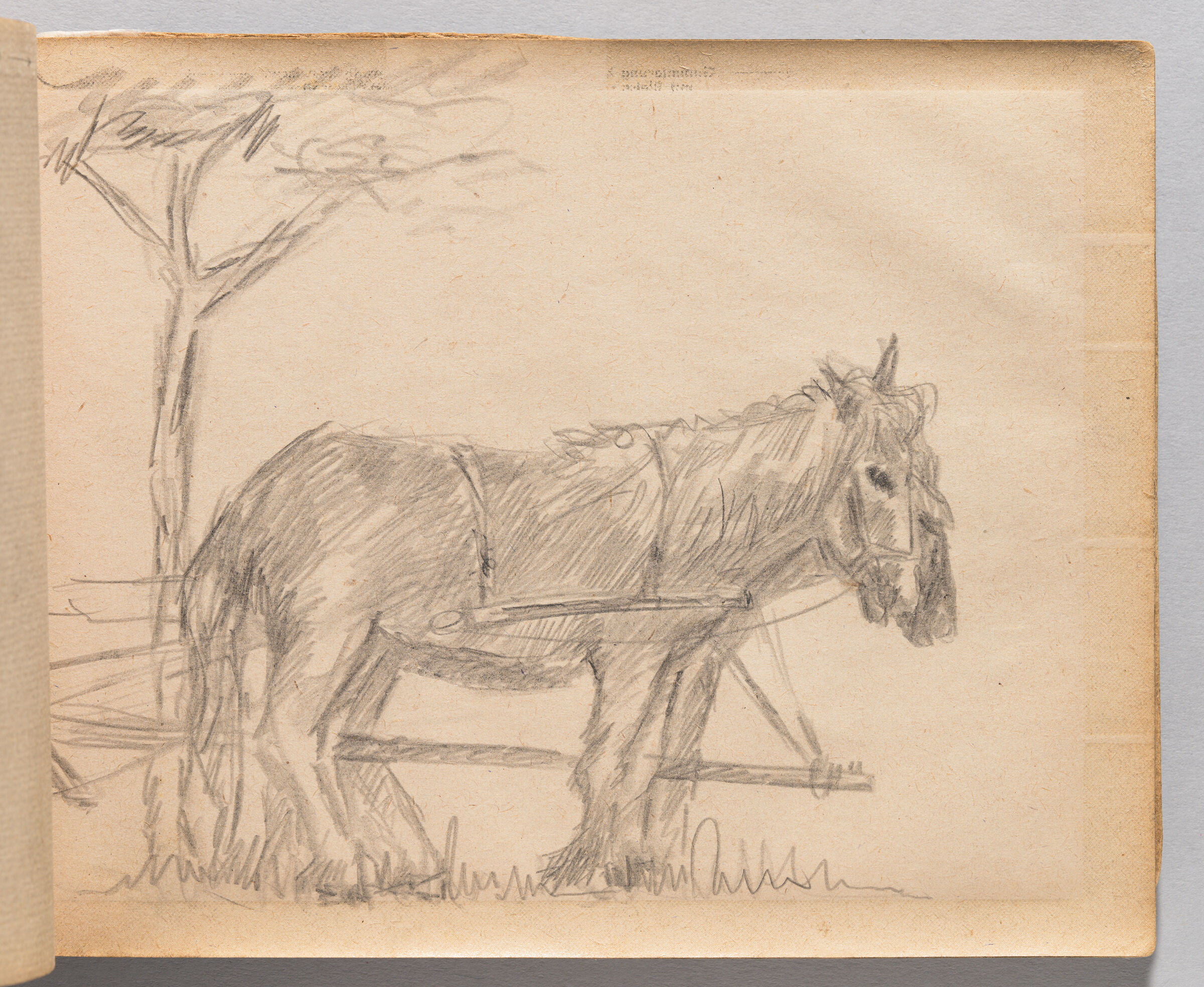 Untitled (Blank, Left Page); Untitled (Donkeys, Right Page)
