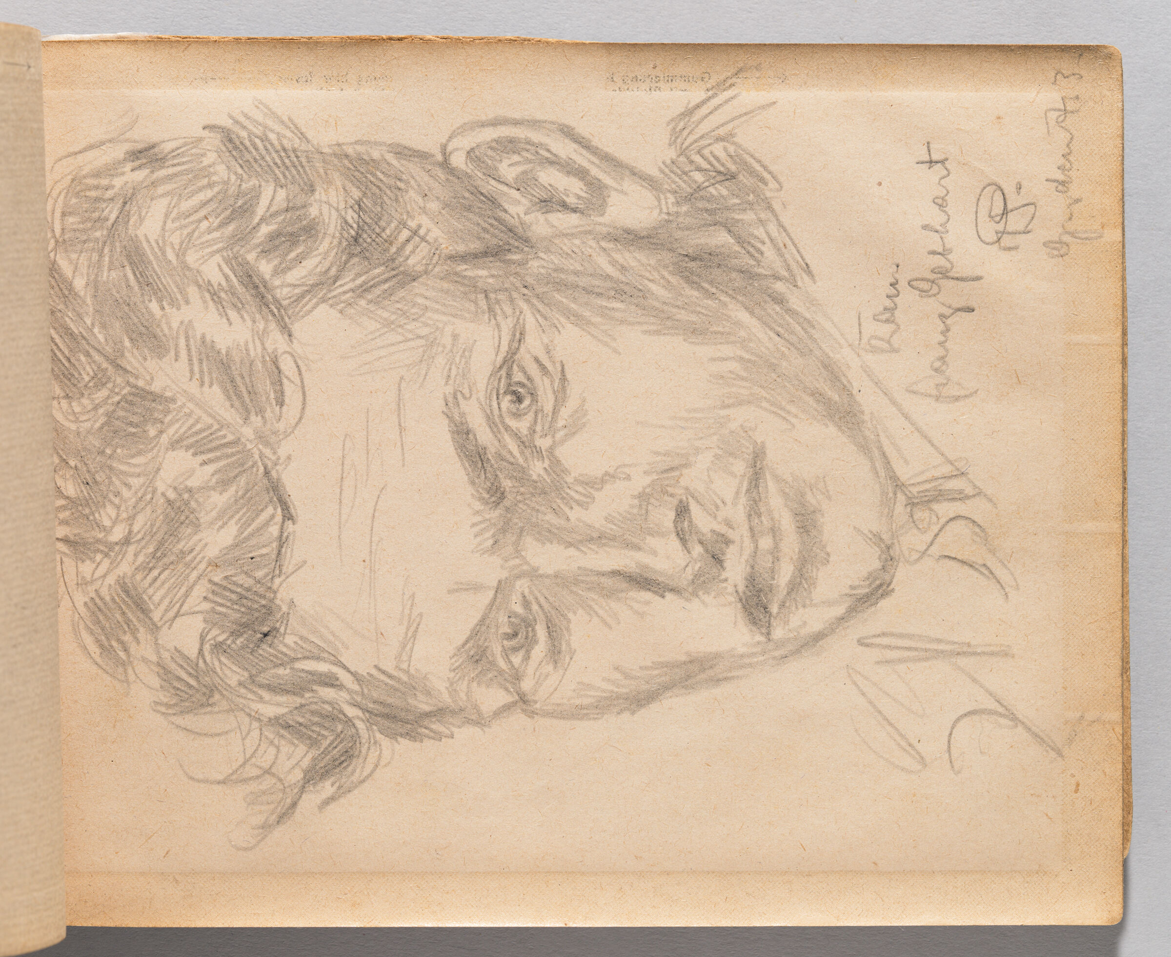 Untitled (Blank, Left Page); Untitled (Portrait Of Male Figure, Right Page)