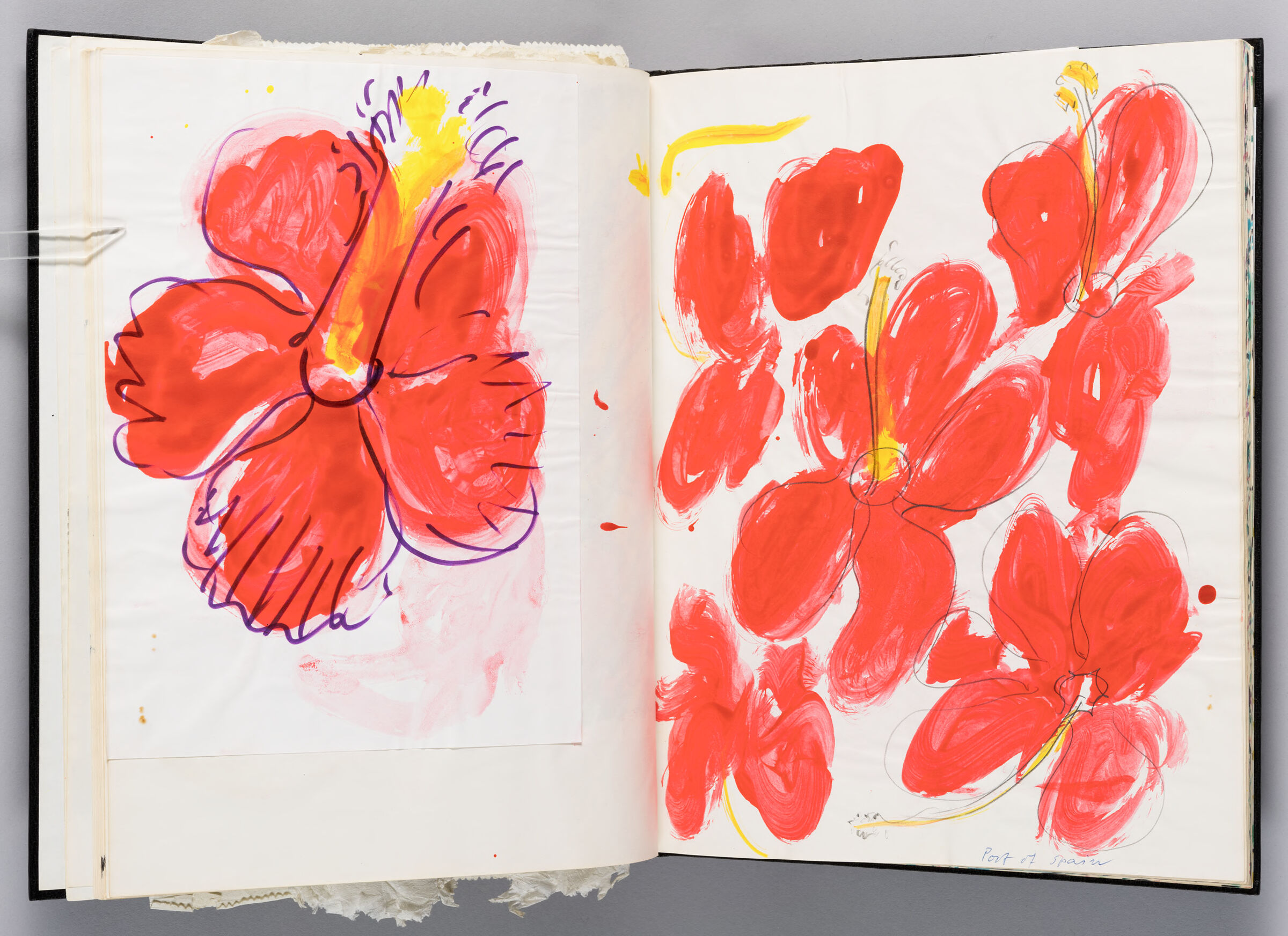 Untitled (Bleed-Through Of Previous Page And Adhered Sketch Of Hibiscus, Left Page); Untitled (Hibiscus Flowers, Right Page)