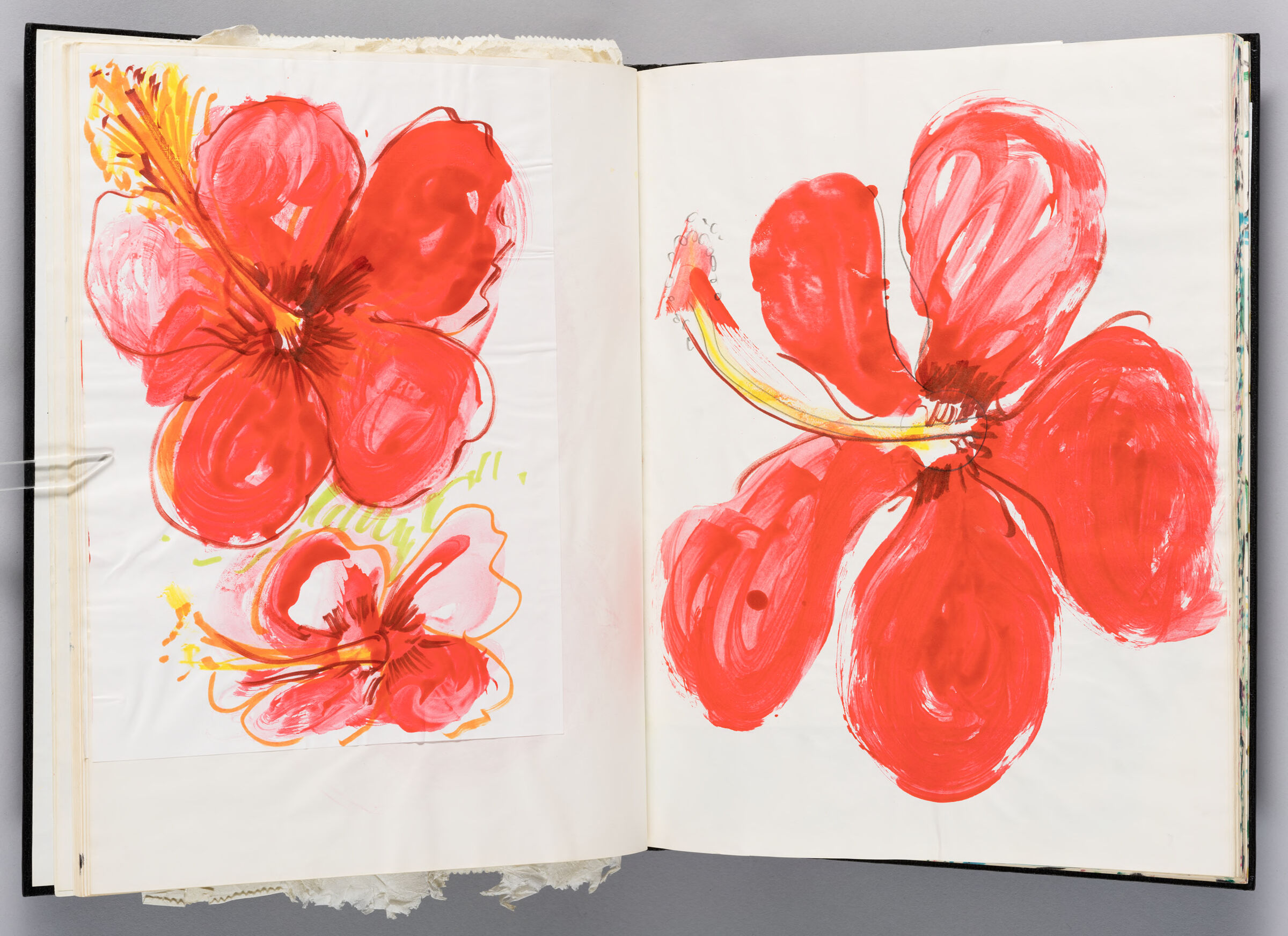 Untitled (Adhered Sketch Of Hibiscus Flowers, Left Page); Untitled (Hibiscus Flower, Right Page)