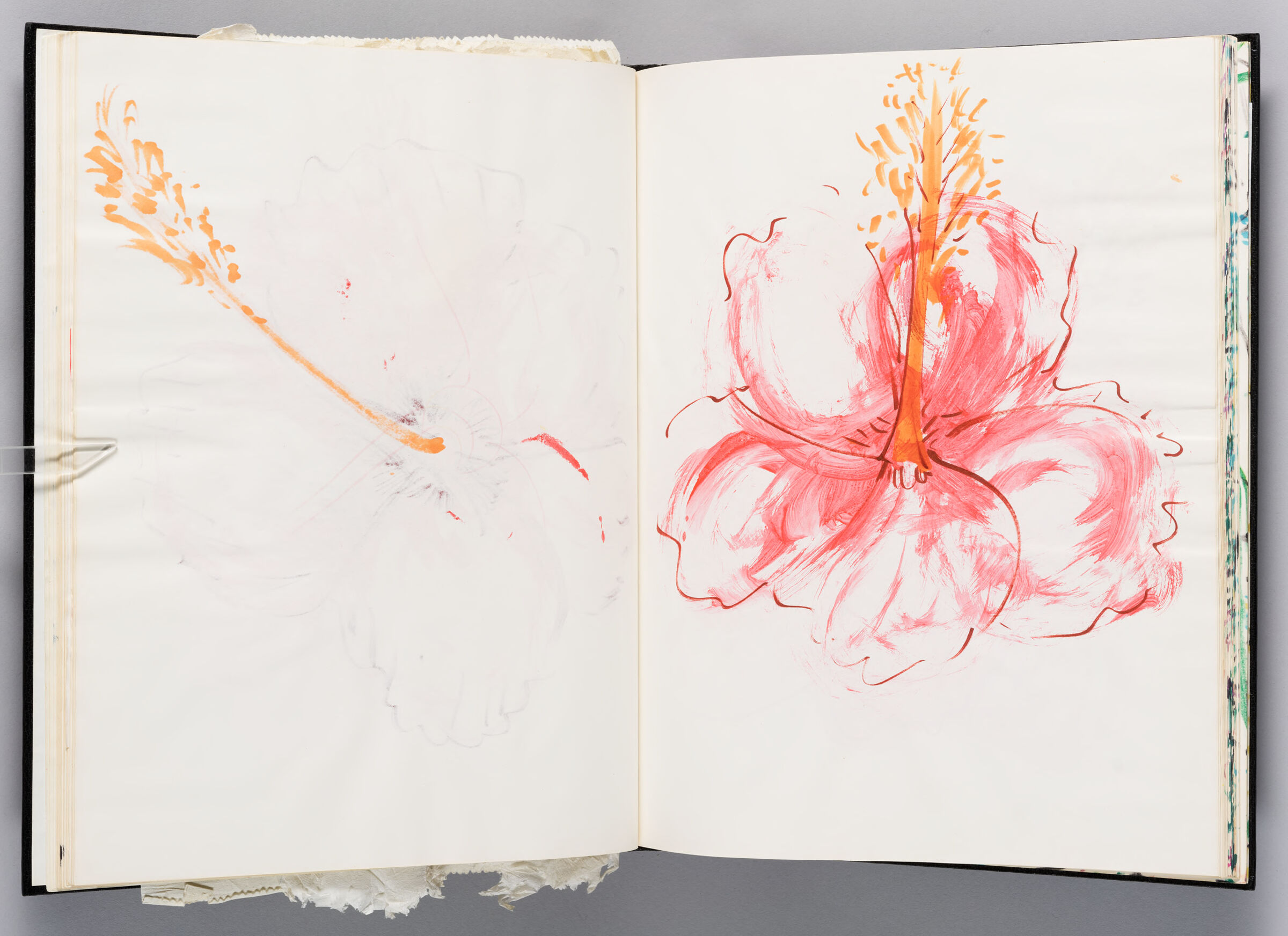 Untitled (Bleed-Through Of Previous Page And Color Transfer, Left Page); Untitled (Hibiscus Flower, Right Page)
