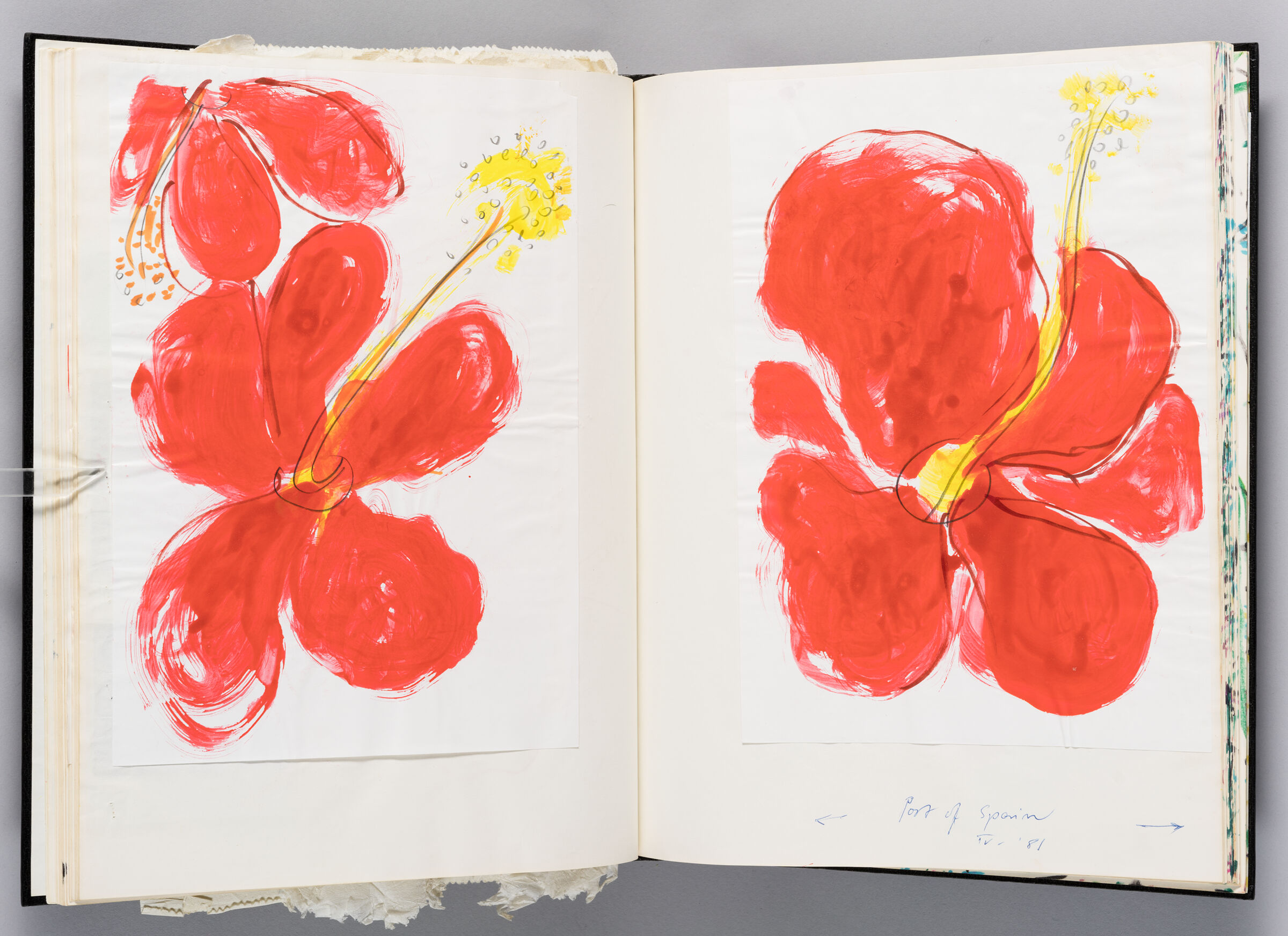 Untitled (Adhered Sketch Of Hibiscus Flowers, Left Page); Untitled (Adhered Sketch Of Hibiscus Flower, Right Page)