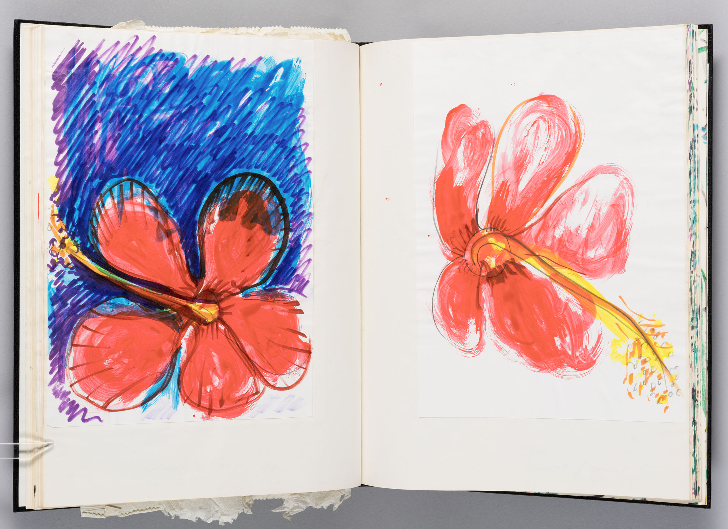 Untitled (Adhered Sketch Of Hibiscus Flower, Left Page); Untitled (Adhered Sketch Of Hibiscus Flower, Right Page)