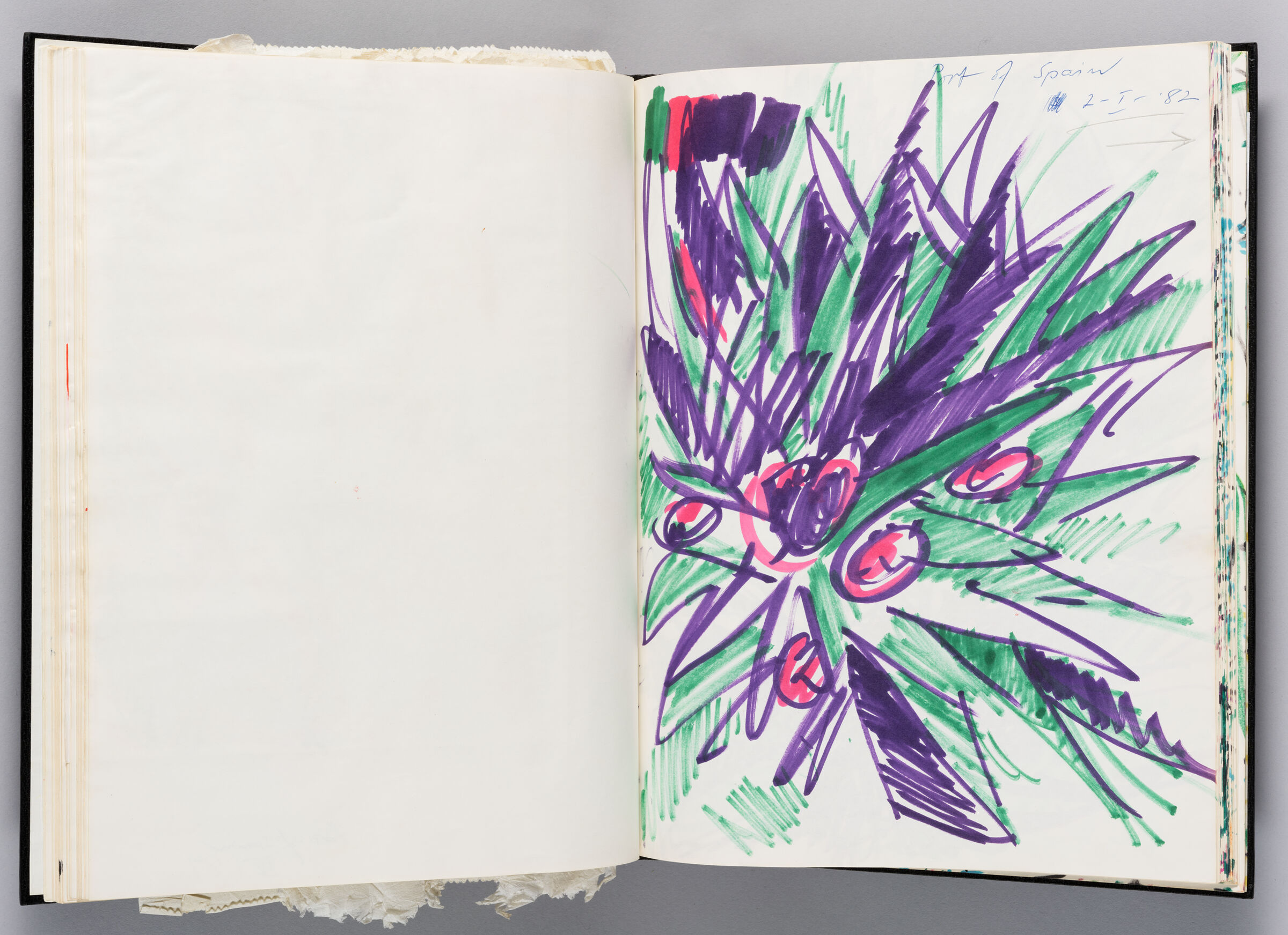 Untitled (Blank, Left Page); Untitled (Plant, Right Page)