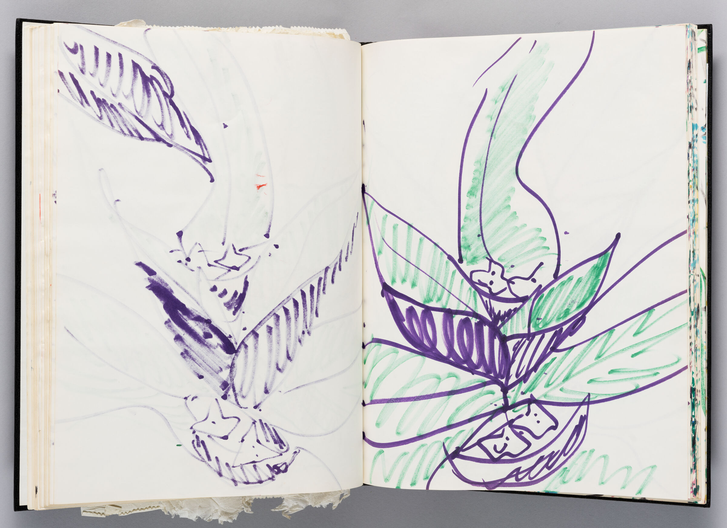 Untitled (Bleed-Through Of Previous Page, Left Page); Untitled (Plant, Right Page)