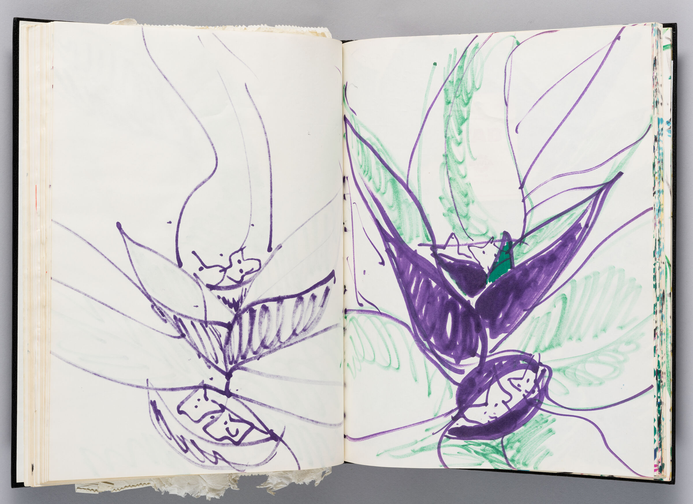 Untitled (Bleed-Through Of Previous Page, Left Page); Untitled (Plant, Right Page)