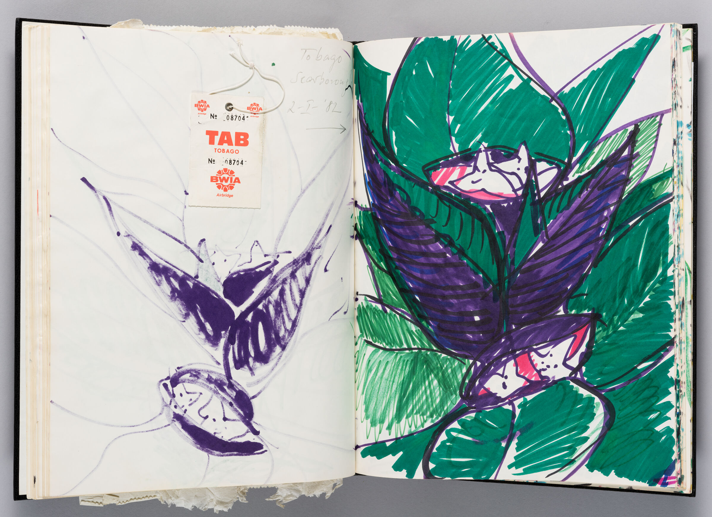 Untitled (Bleed-Through Of Previous Page With Note And Travel Document, Left Page); Untitled (Plant, Right Page)