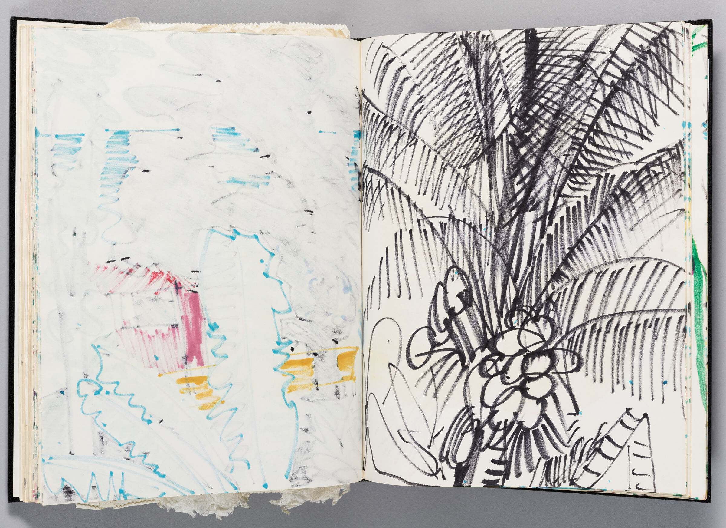 Untitled (Bleed-Through Of Previous Page, Left Page); Untitled (Palm Tree, Right Page)
