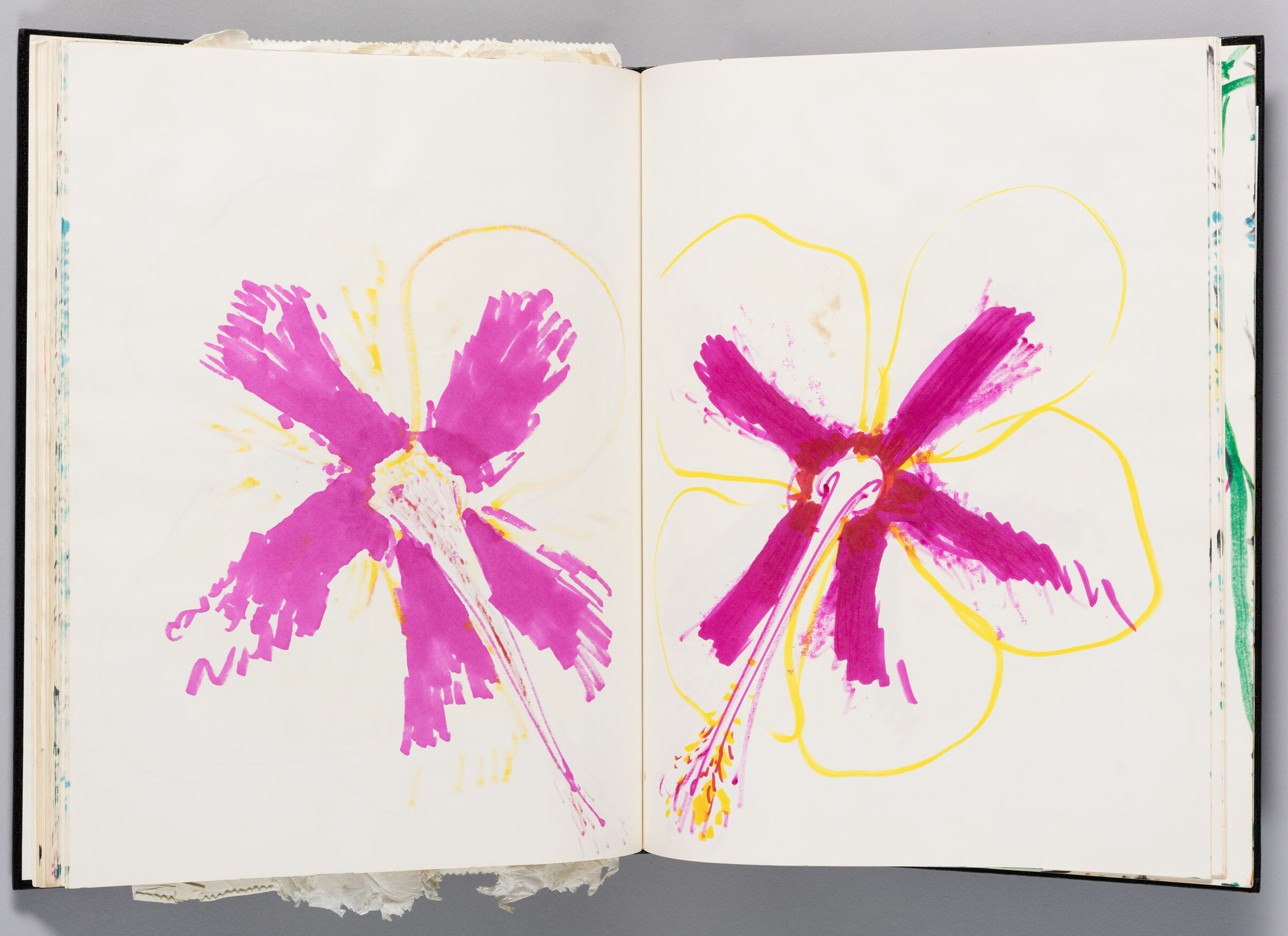 Untitled (Bleed-Through Of Previous Page, Left Page); Untitled (Hibiscus Flower, Right Page)
