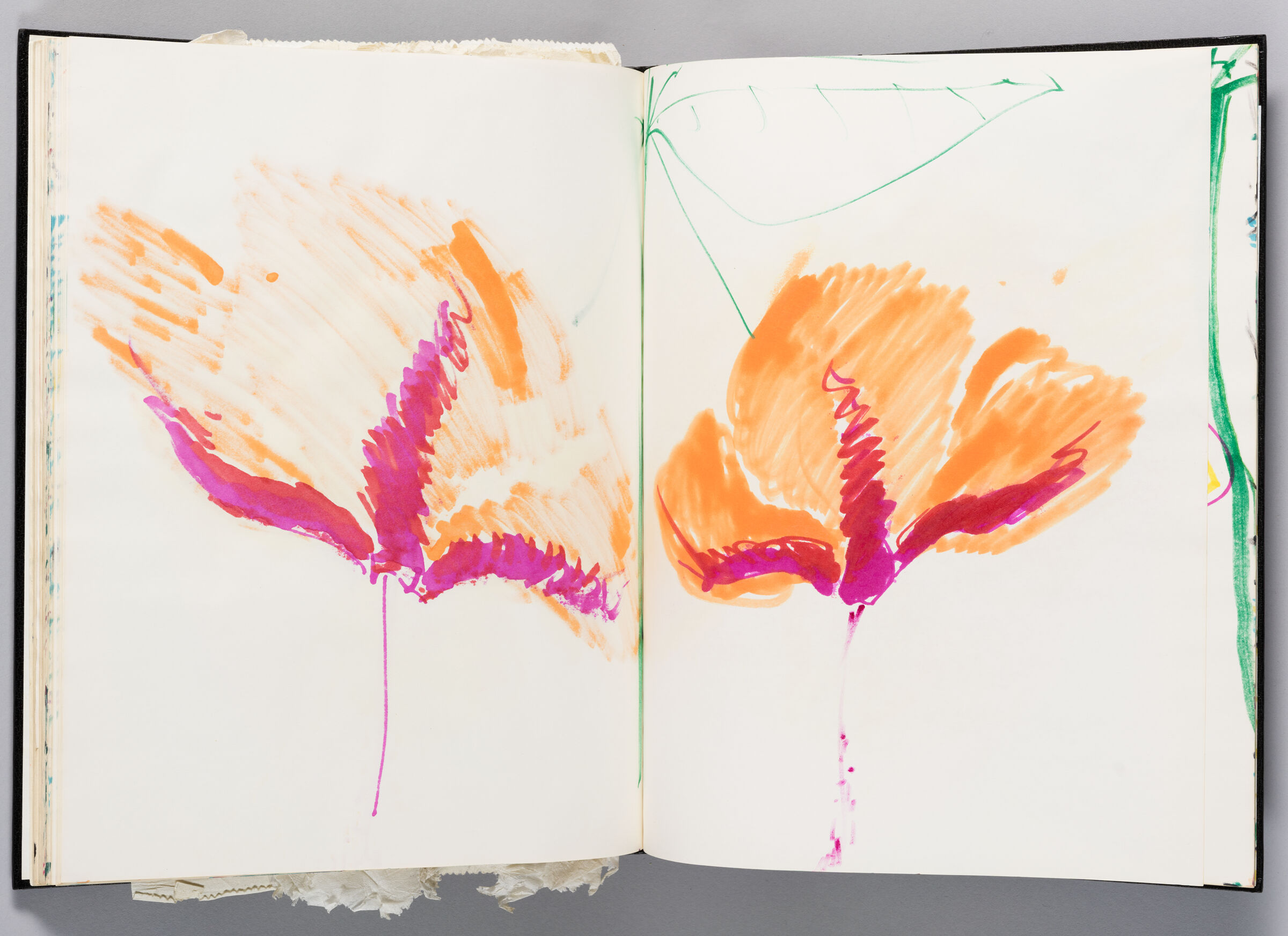 Untitled (Bleed-Through Of Previous Page, Left Page); Untitled (Hibiscus Flower, Right Page)
