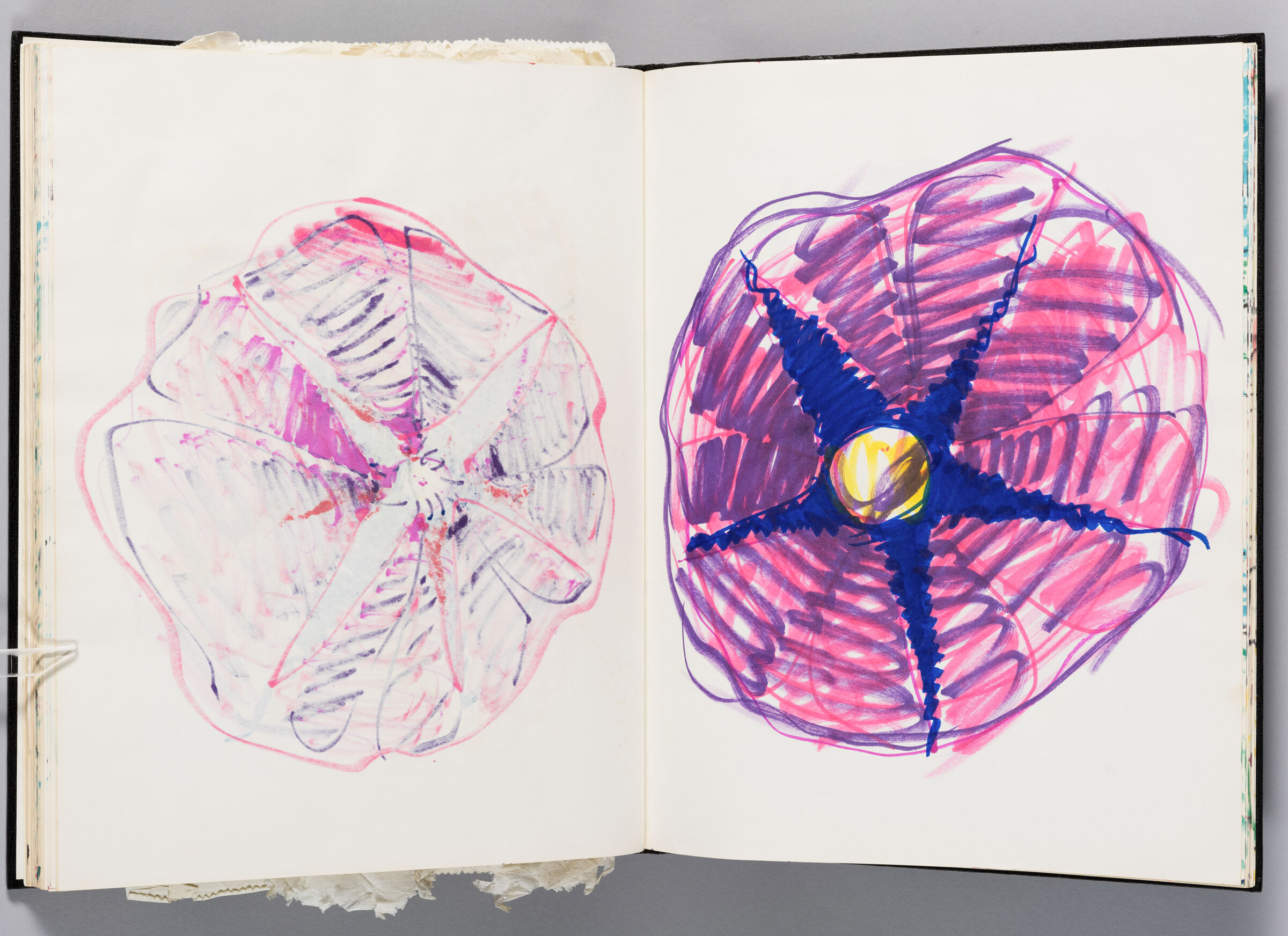 Untitled (Bleed-Through Of Previous Page, Left Page); Untitled (Purple Moonflower, Right Page)