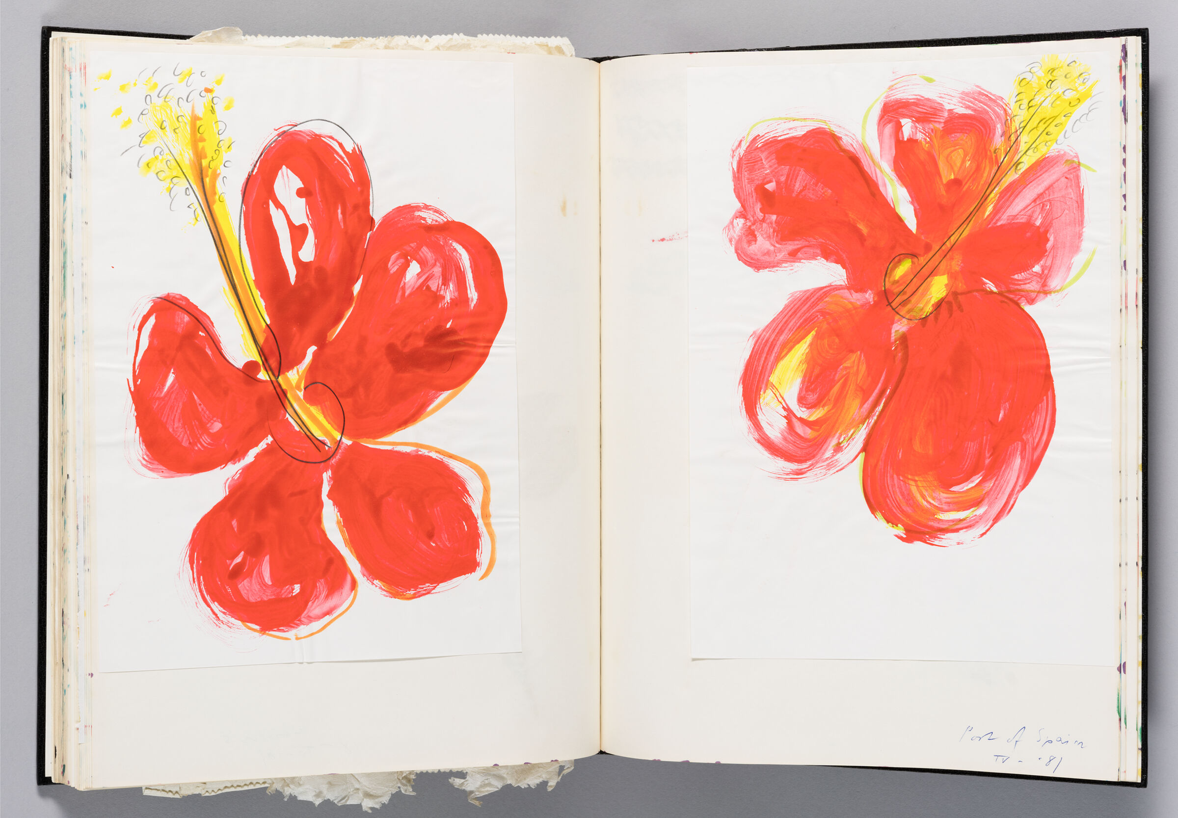 Untitled (Adhered Sketch Of Hibiscus Flower, Left Page); Untitled (Adhered Sketch Of Hibiscus Flower, Right Page)
