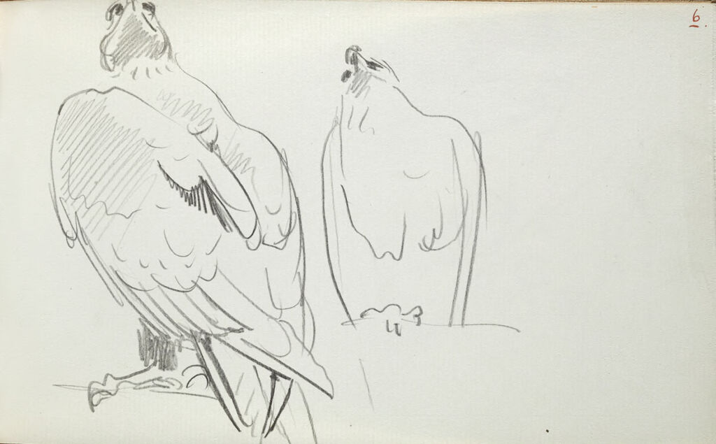 Two Sketches Of A Bird