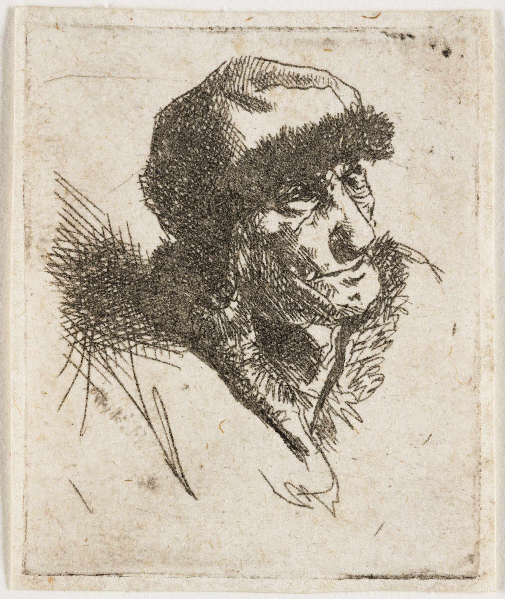 An Old Woman With A Fur Cap