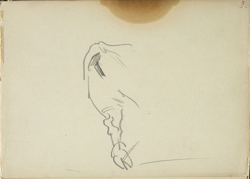 Sketch Of An Ox's Leg; Verso: Sketch Of An Ox In A Harness