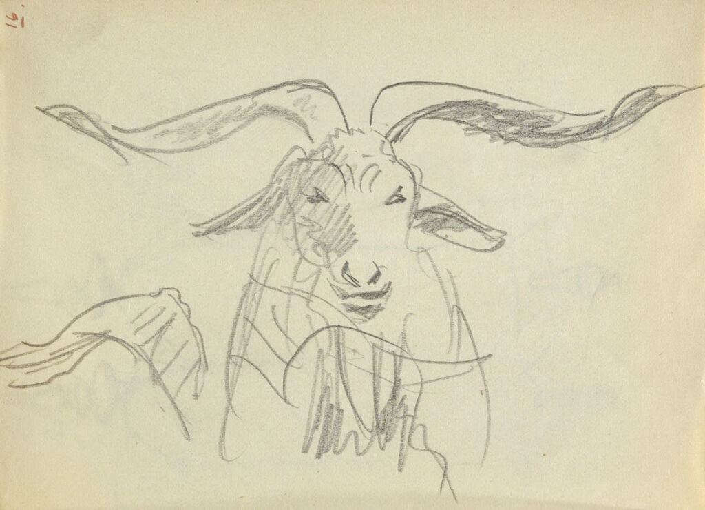 Study Of Goat's Head