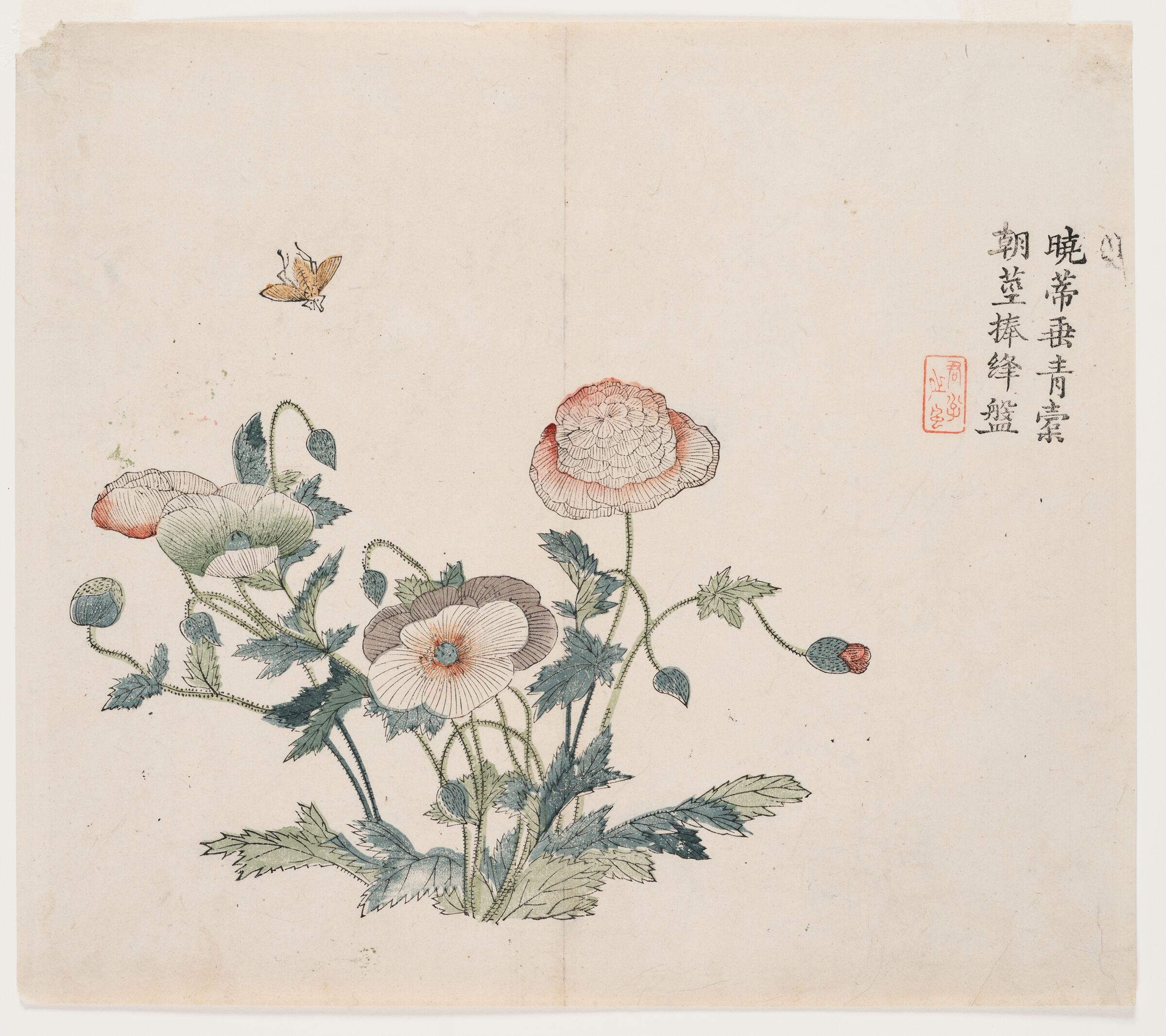 A color print shows a flowering poppy plant with an insect hovering above; Chinese writing and a seal are to the right.