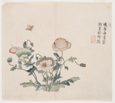 A color print shows a flowering poppy plant with an insect hovering above; Chinese writing and a seal are to the right.