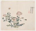 A color print shows a flowering poppy plant with an insect hovering above; Chinese writing and a seal are to the right. 