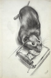 Dead Mouse In Trap; Verso: Blank Page