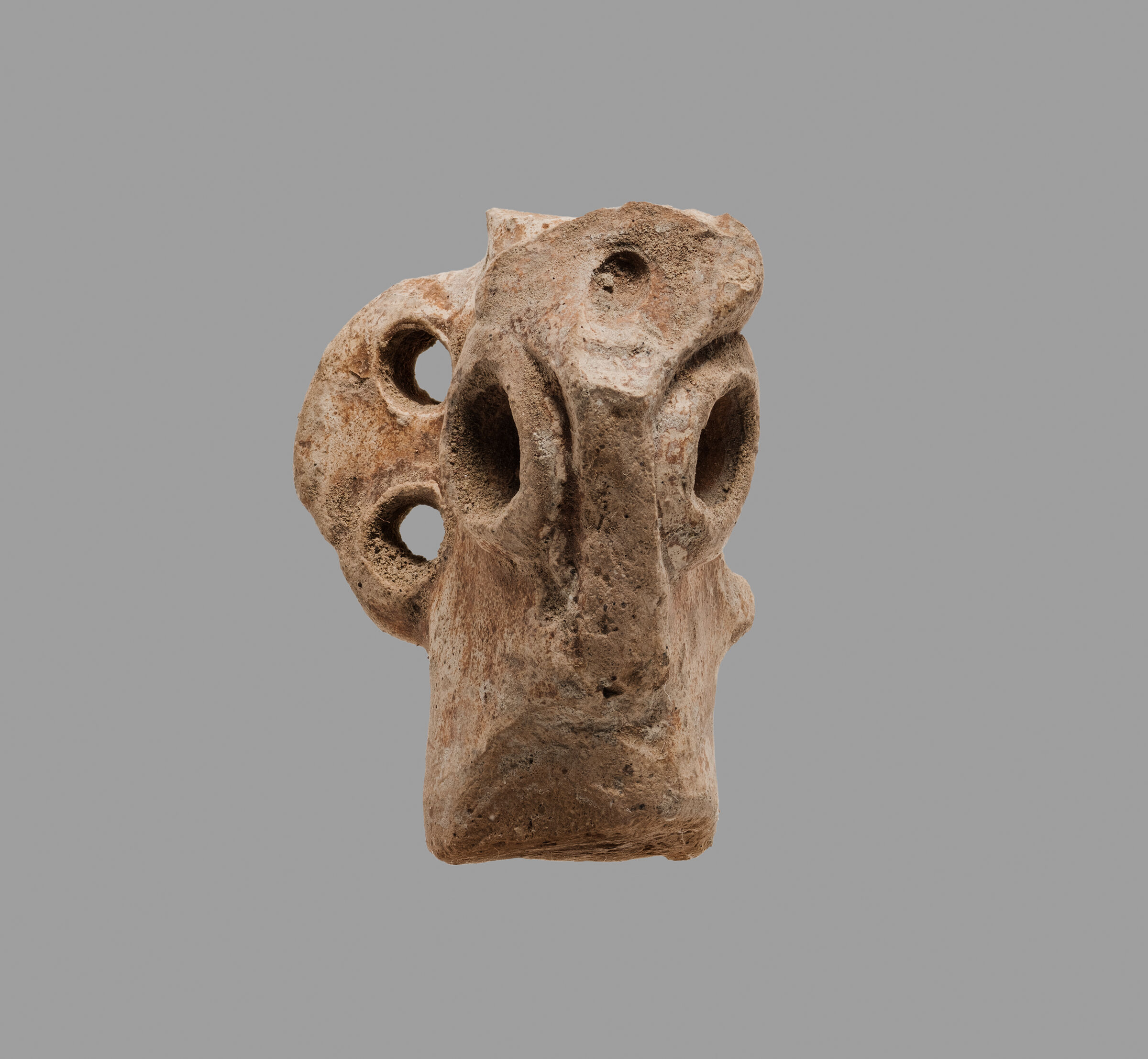 Anthropomorphic Female Figurine Fragment: Head