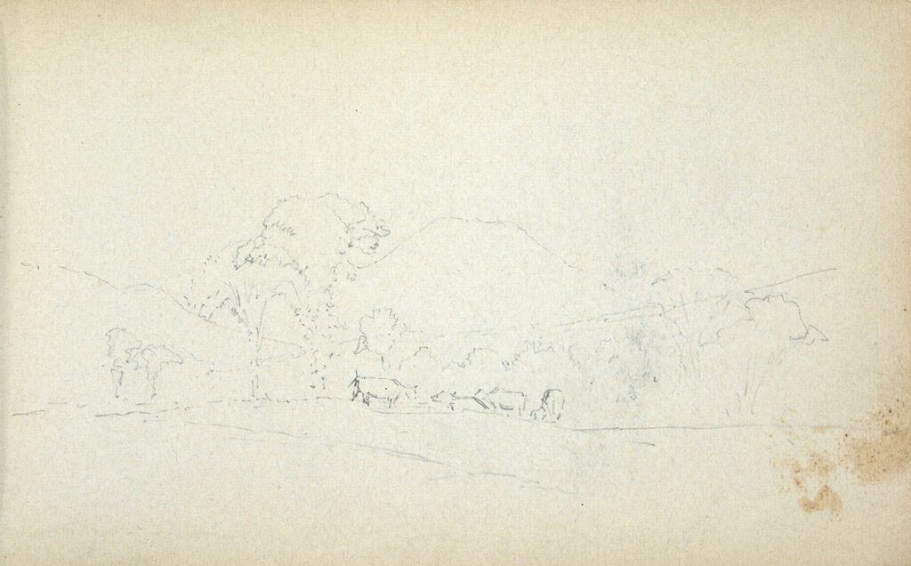 Landscape With Sheep; Verso: Blank Page