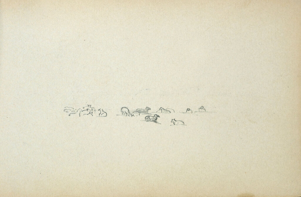 Sheep; Verso: Partial Landscape