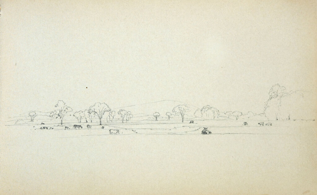 Cattle In A Landscape; Verso: Blank Page