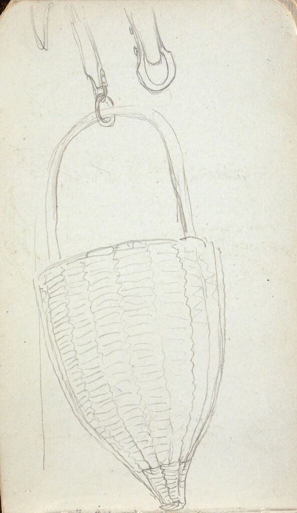 Blank Page; Verso: Hanging Basket