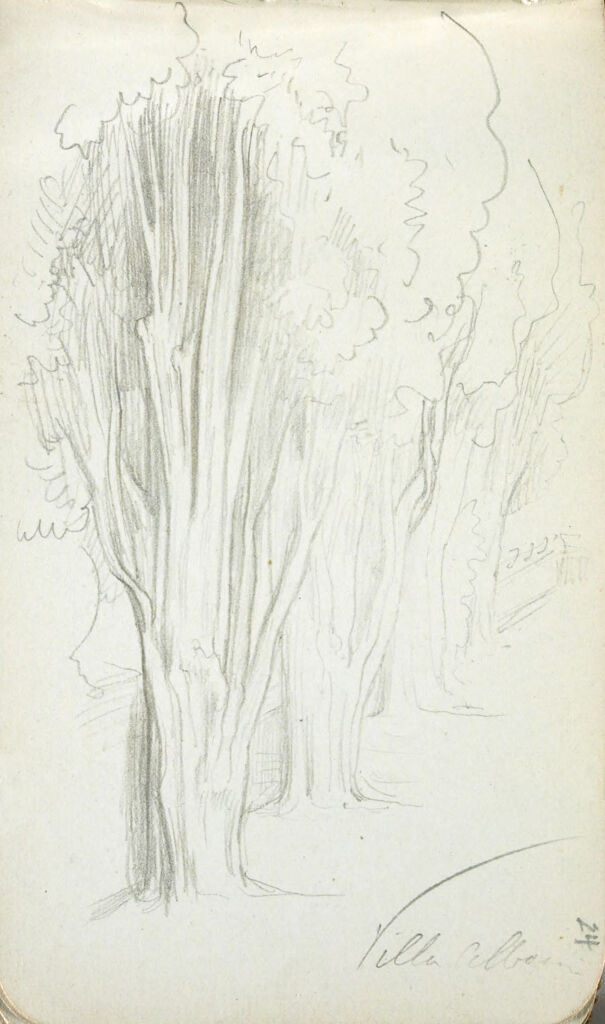 Studies Of Trees, Villa Albani; Verso: Blank Page