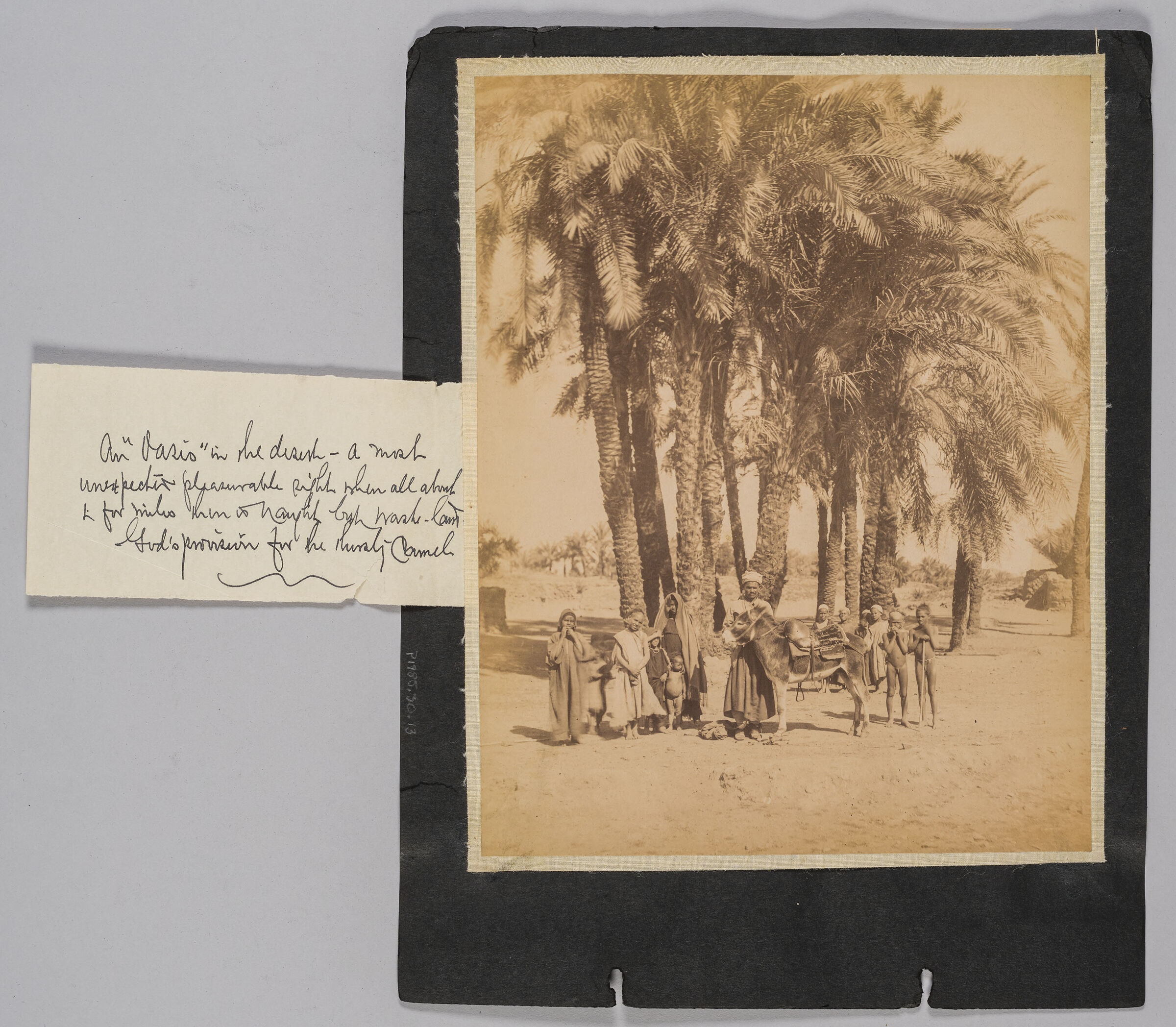 Untitled (Man With Donkey And Numerous Children Standing Before Palm Trees)