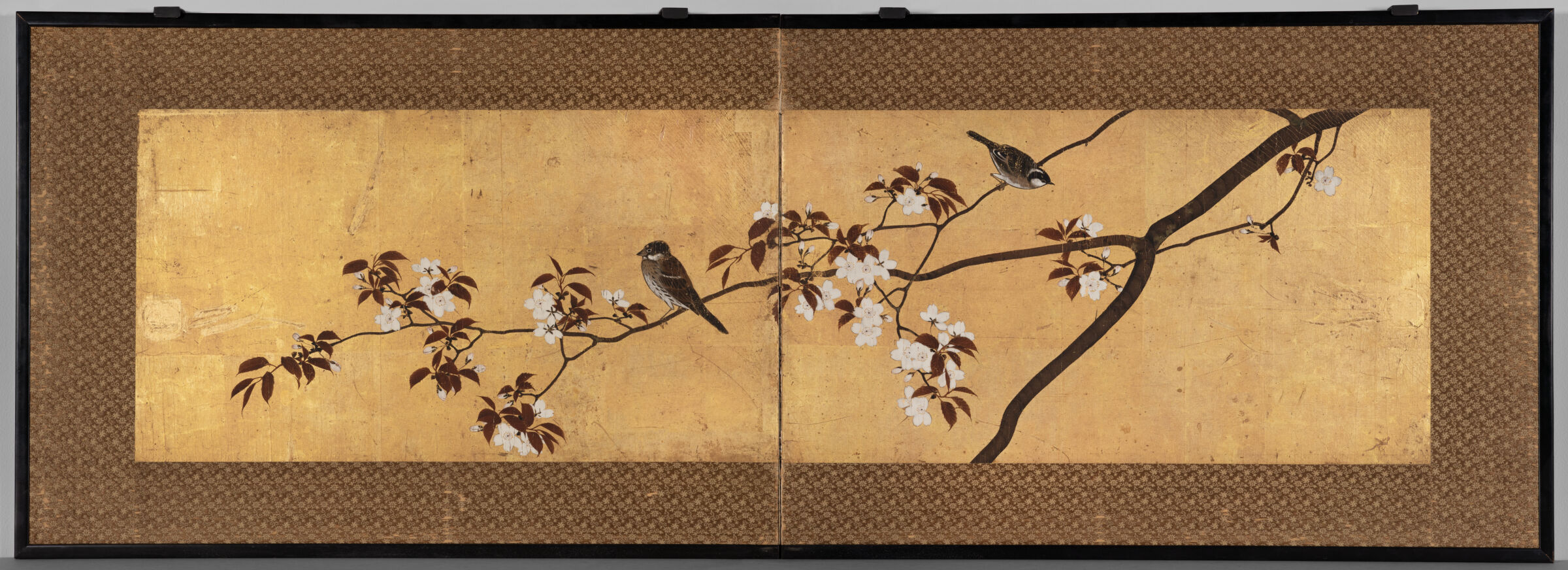 Sparrows On A Blossoming Cherry Tree Branch