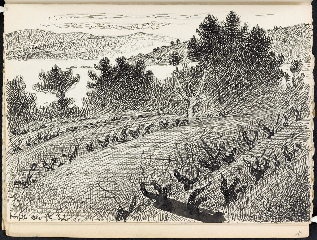 Vineyard With A View Of A Bay; Verso: Blank Page