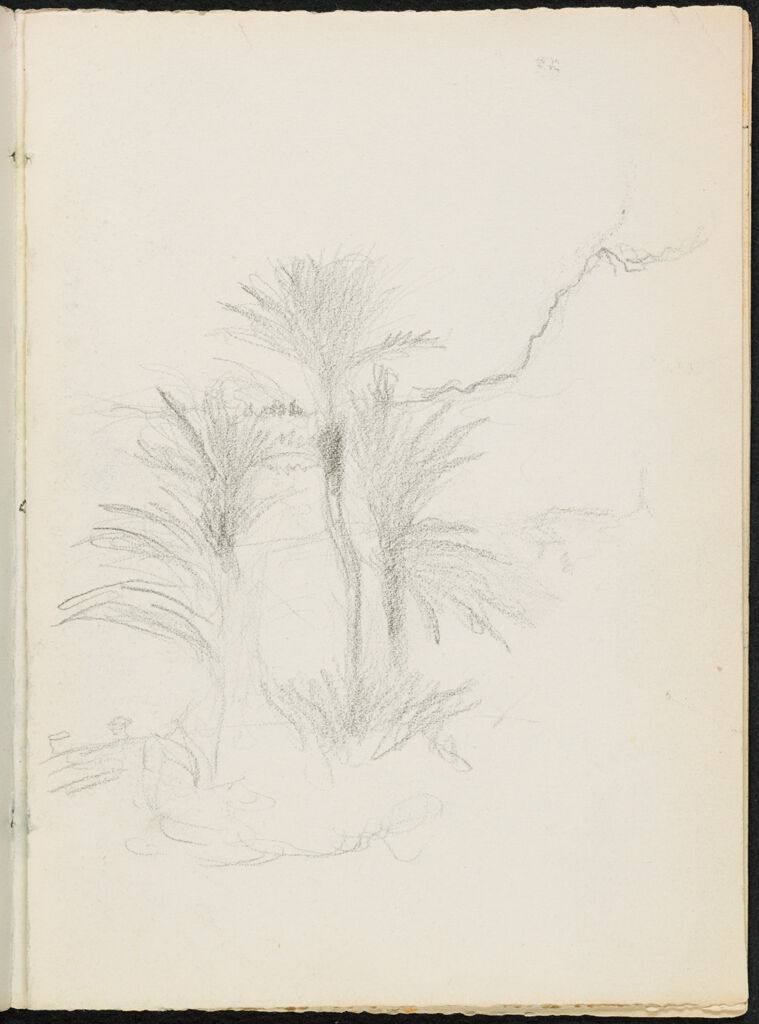 Landscape With Palm Trees; Verso: Blank Page