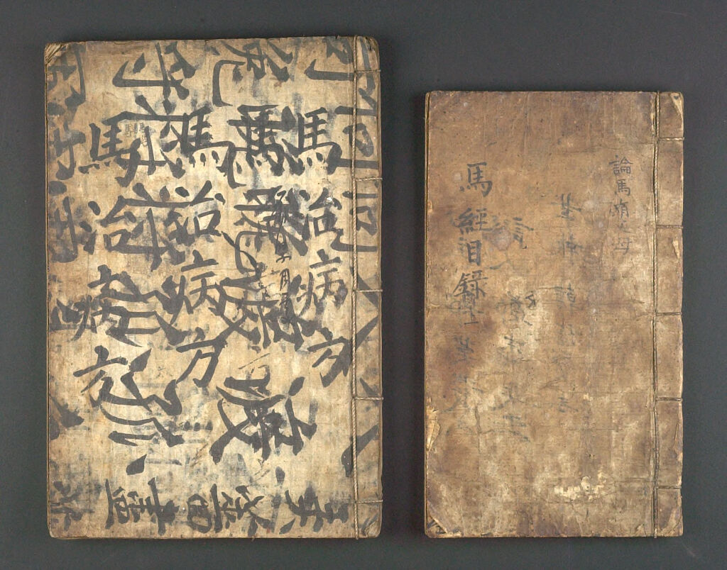Illustrated Books On Horses And Equine Illnesses (Ma Kyŏng), Two Volumes