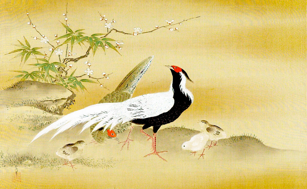 White And Black Pheasants, Chickens, Bamboo And Plum