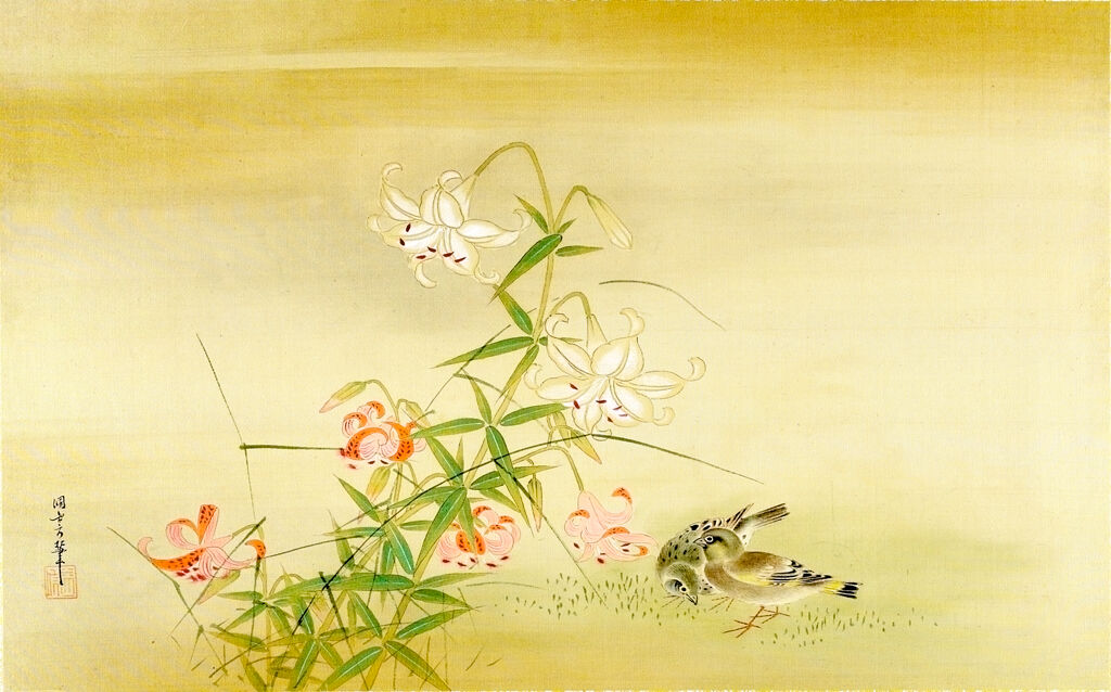 Manchurian Great Tit Under White-And-Pink Tiger Lily