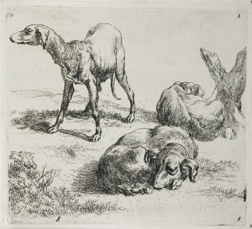 Three Hunting Dogs