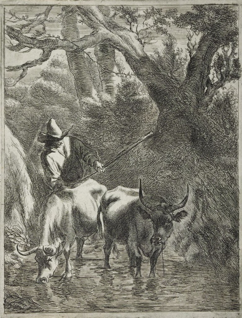 Herdsman Driving Two Cows Through A Brook