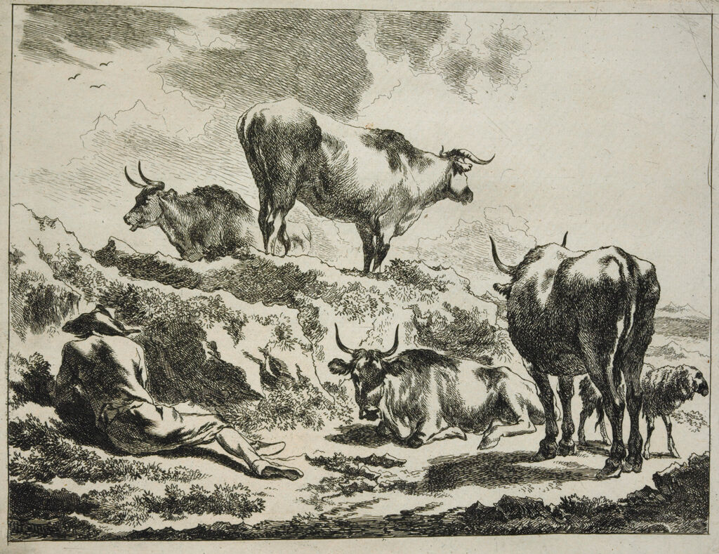 Cattle On A Hillock And Resting Cowherd
