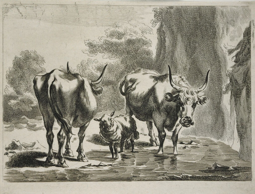 Two Cows And One Sheep At A Ford
