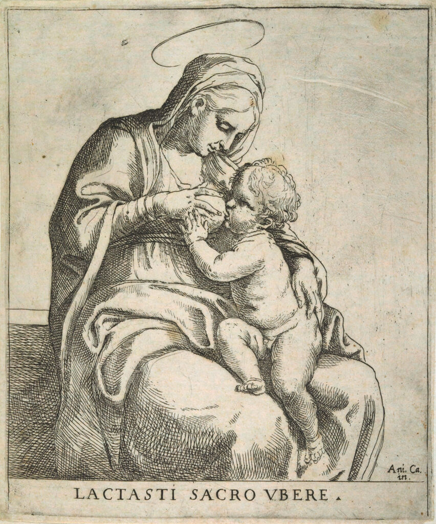 The Madonna Nursing The Christ Child