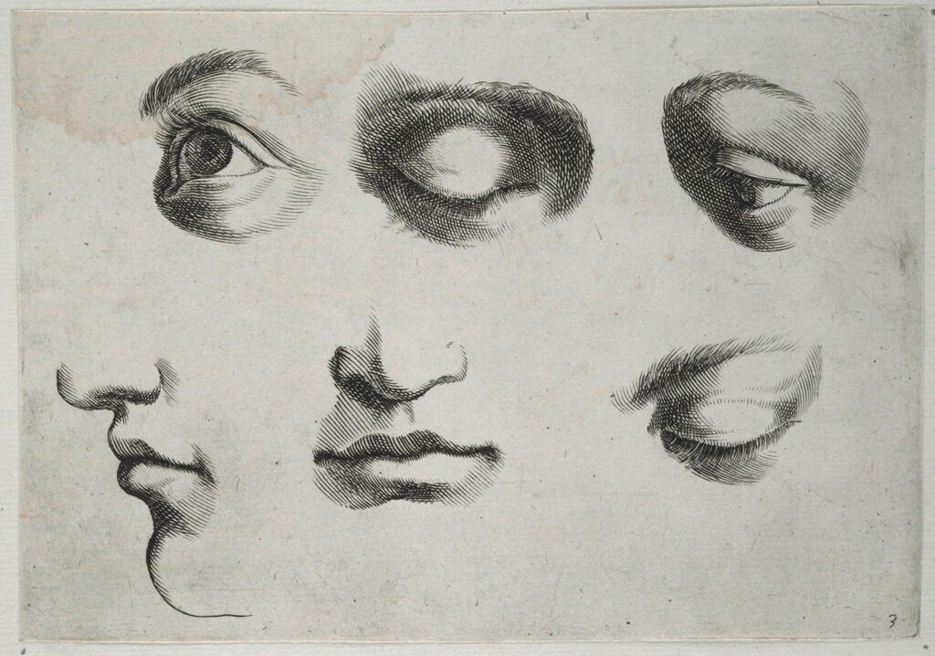 Four Eyes And Two Mouths-And-Noses