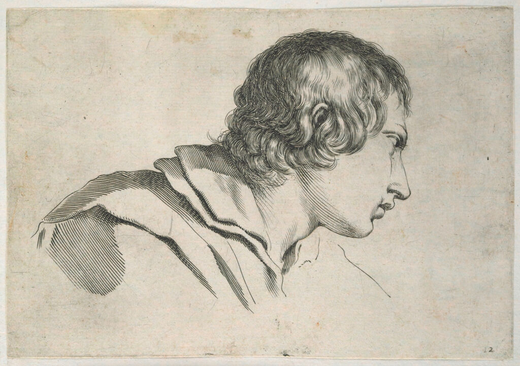 Bust Of A Young Man In Profile