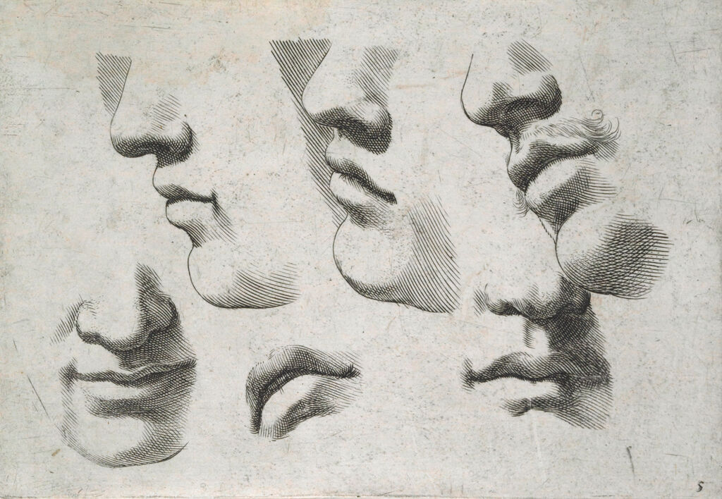 Parts Of Four Faces, A Mouth, And A Mouth-And-Nose