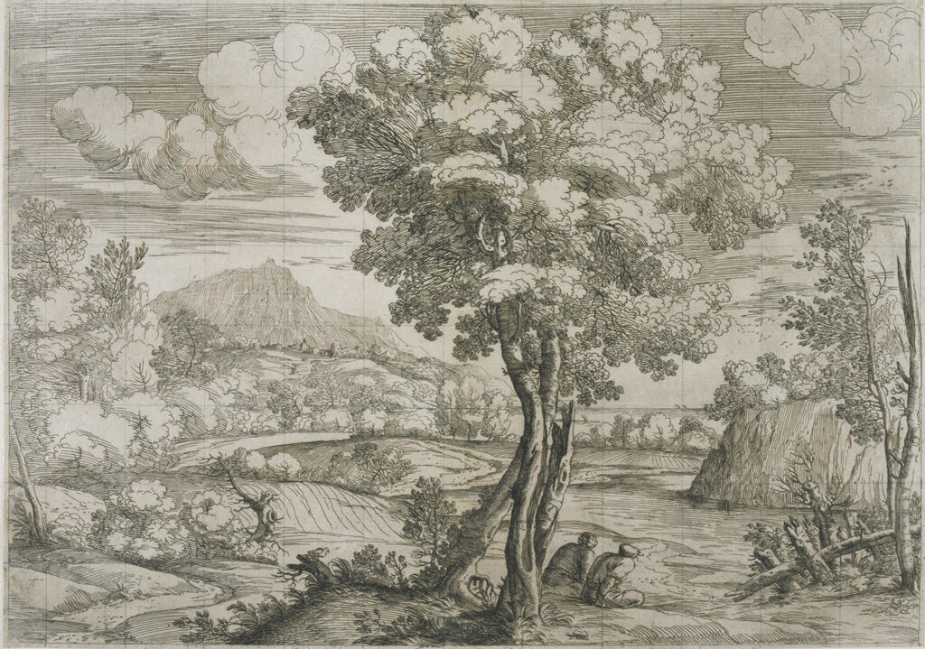 Landscape With Bird Perched On A Tree Stump