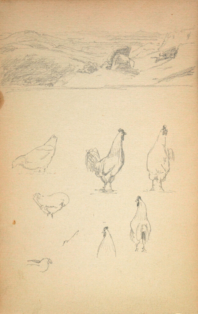 Blank Page; Verso: Small Landscape; Chickens