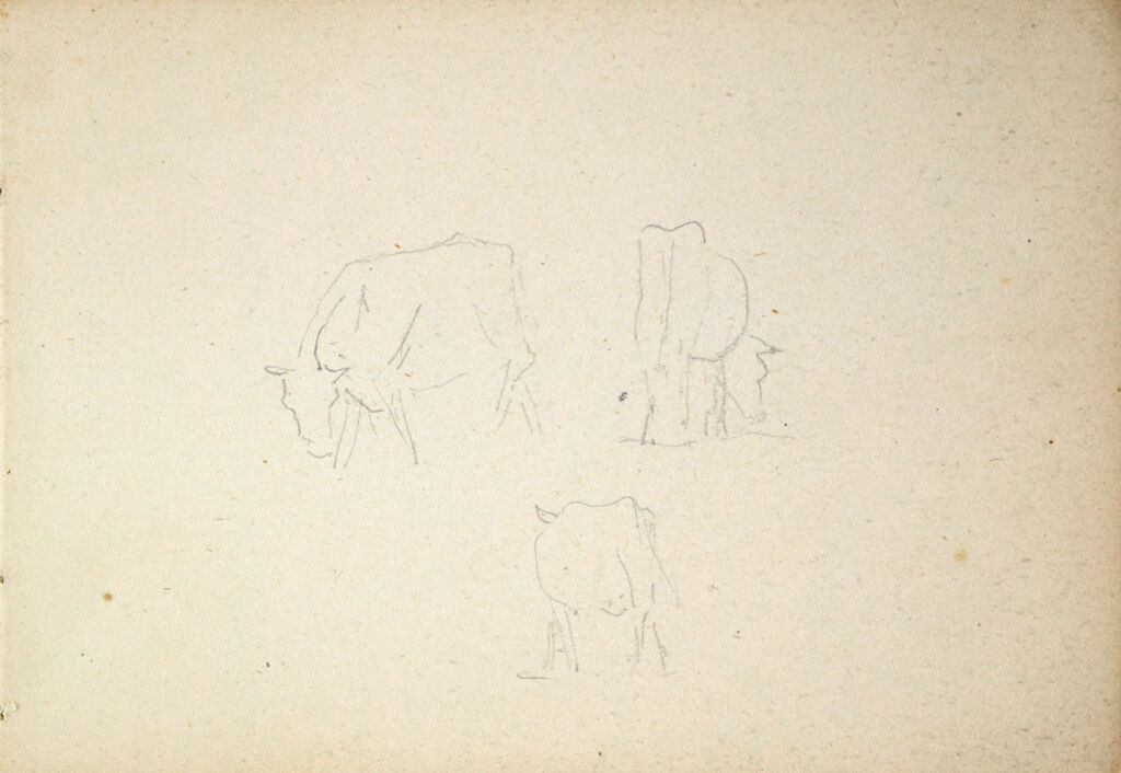 Three Sketches Of Cows; Verso: Partial Scene Of Road With Houses