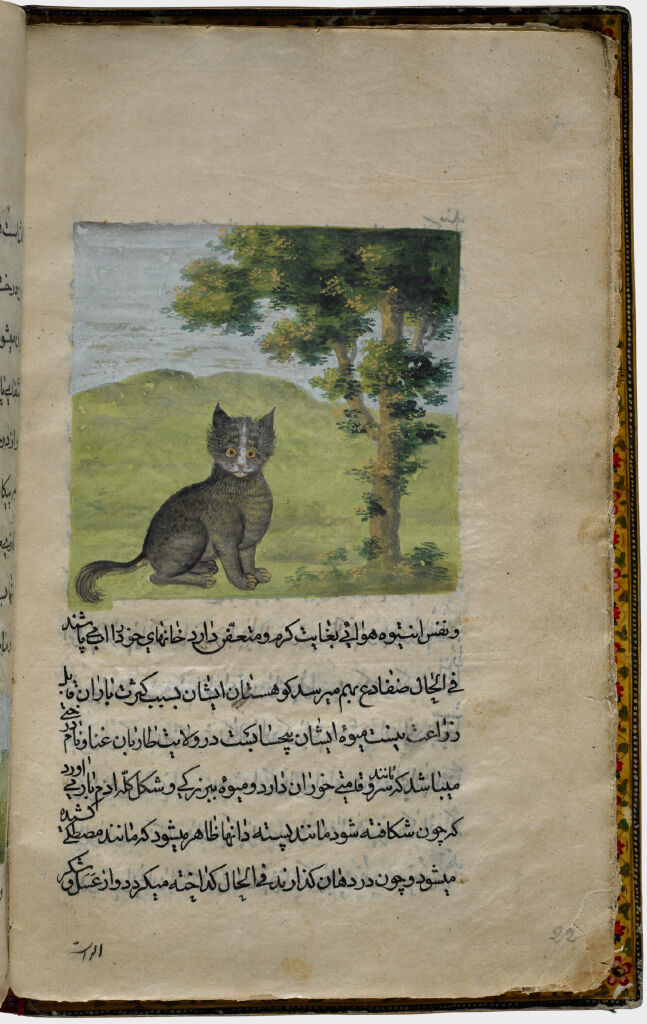 Wildcat (Painting, Verso), Text (Recto), Folio 22 From Illustrated Manuscript Of Tarjama-I Tarikh-I Yangi Dunya (Translation Of The History Of The New World)