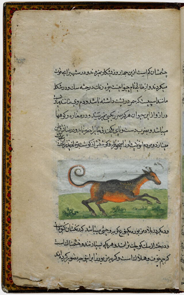 Horse (Painting, Recto), Wildcat (Painting, Verso), Folio 86 From Illustrated Manuscript Of Tarjama-I Tarikh-I Yangi Dunya (Translation Of The History Of The New World)